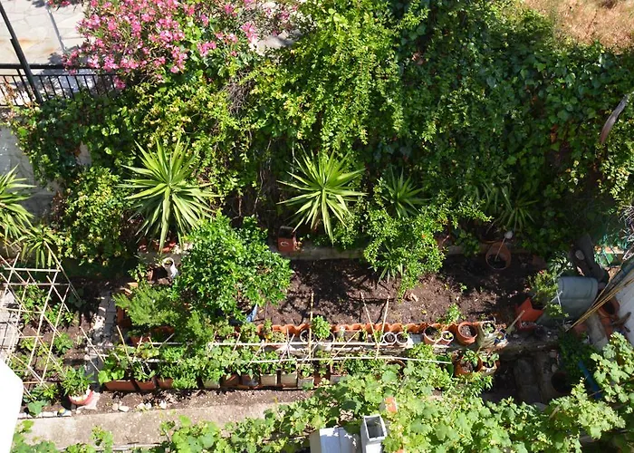 Alexia House Néos Marmarás