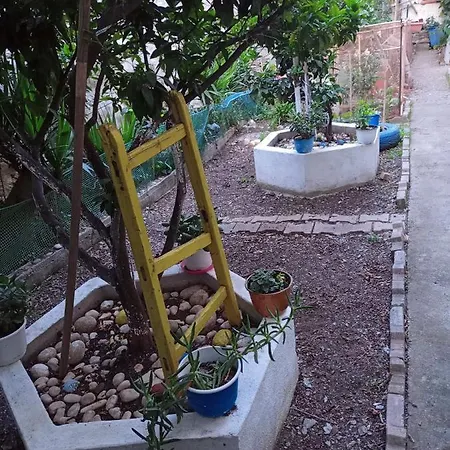 Alexia House * نيوس مارماراس