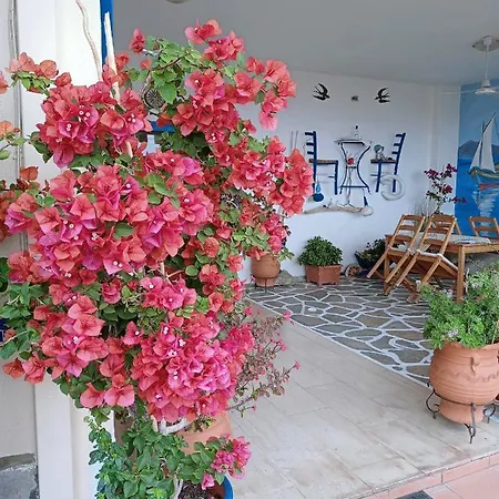 شقة Alexia House