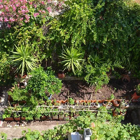 Alexia House Νέος Μαρμαράς