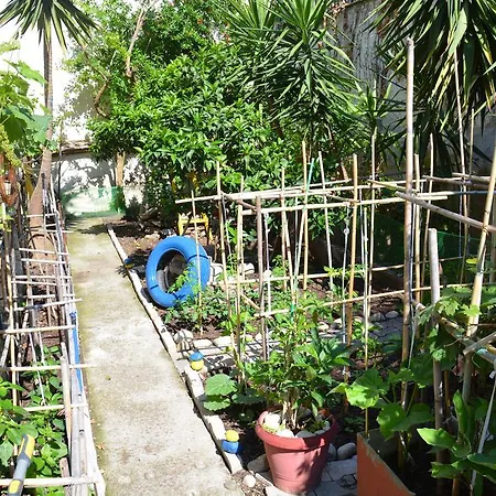 Alexia House Νέος Μαρμαράς