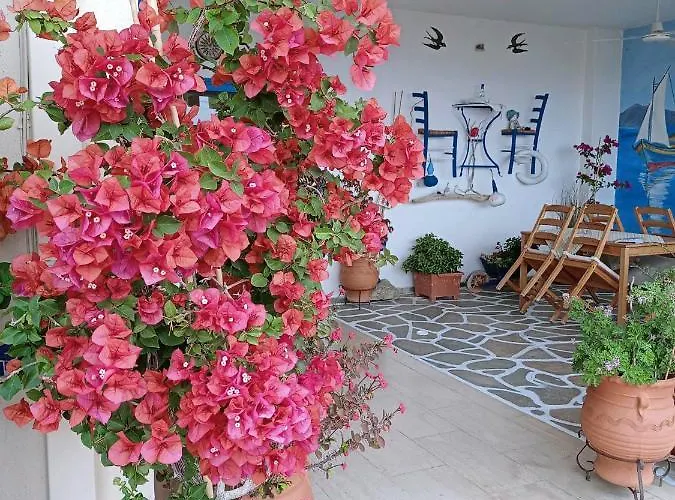 아파트 Alexia House